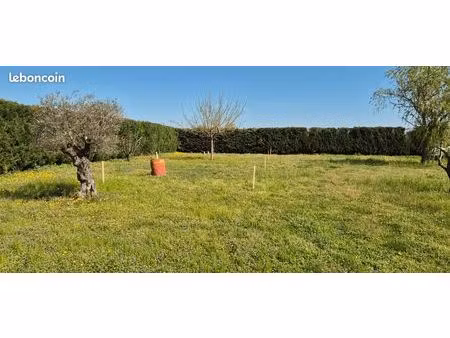 recherche terrain loisir