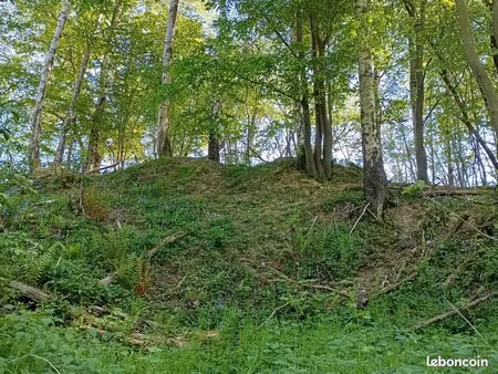 a vendre parcelle forestière
