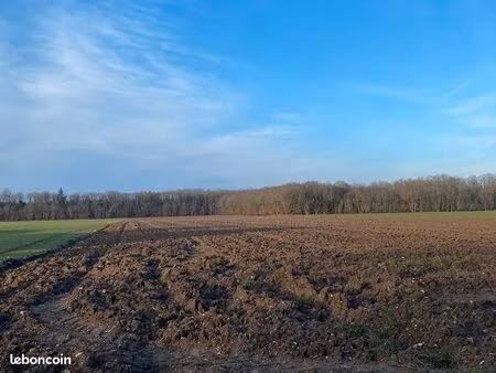 terrain 1150 m² champigny la futelaye