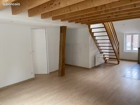 centre ville lumineux duplex parking