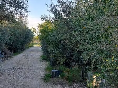terrain agricole