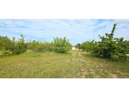 terrain 800 m² cavillargues
