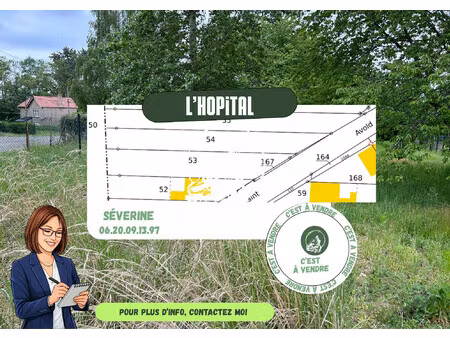 terrain constructible