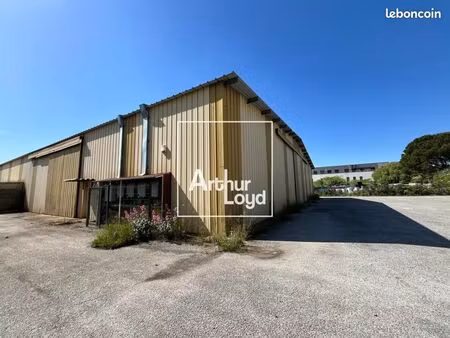 local d'activité 600 m²