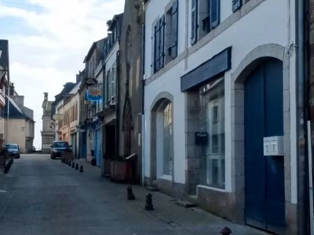 local commercial ou professionnel centre ville