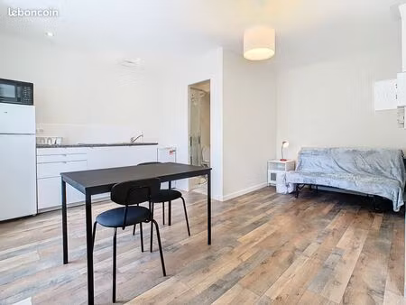 studio 1 pièce 22 m²