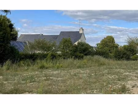 vente terrain à sautron (44880) : à vendre / 460m² sautron