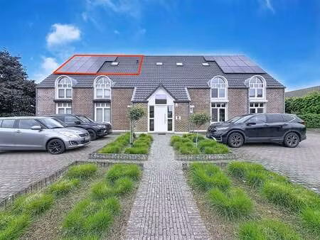 appartement à louer à kinrooi € 620 (lo08d) - era impact (bree) | zimmo