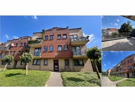 appartement à louer à groefstraat 29 louvain (rbv84900)