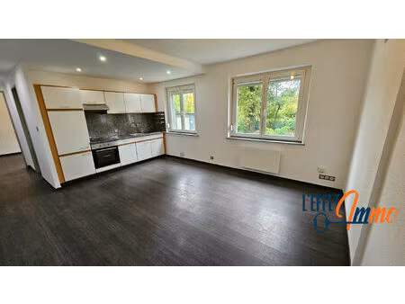 appartement staffelfelden 2 pièce(s) 40 m2