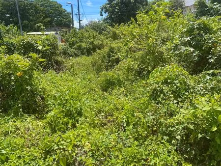 rare : terrain à bâtir 479m2 proche pointe-a-pitre