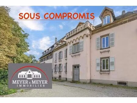 demeure / immeuble de charme rénové 450 m2 avec cour obernai centre
