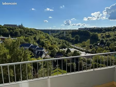 t3 70m2 rodez traversant avec vue dégagée