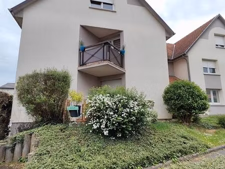 appartement 2 pièces 45m²