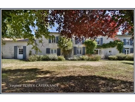 maison à vendre 10 pièces villeneuve la comtesse (17) sur 4800 m² de terrain avec dépendan