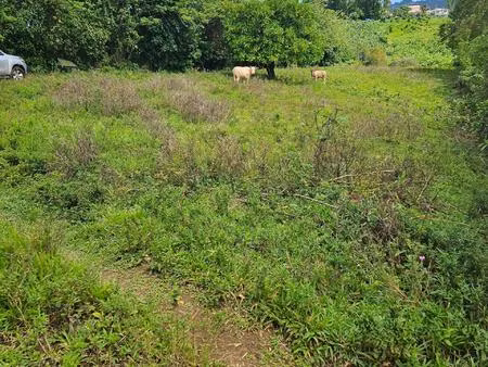 terrain plat dans quartier résidentiel calme idéal pour investisseurs et promoteurs