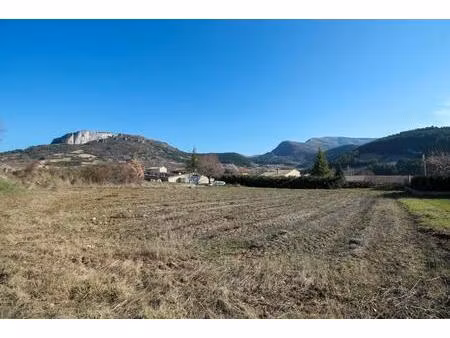 terrain constructible