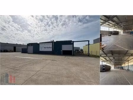 surface industrielle à louer à e3-laan 25 deinze (rbv84987)