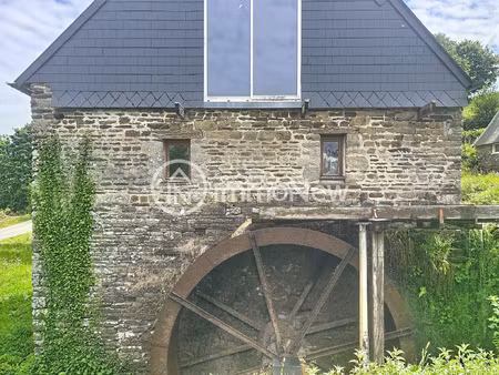 ensemble de 2 moulins a renover avec biefs + dependances et