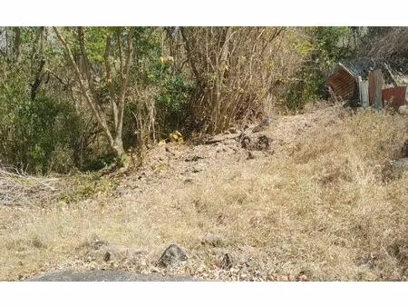 terrain le diamant m² t- à vendre  115 000 €