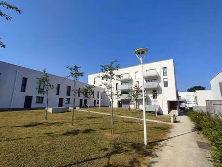 location appartement 3 pièces à noyal-châtillon-sur-seiche (35230) : à louer 3 pièces / 66