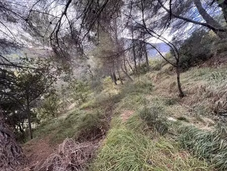 achat : terrain (06500)