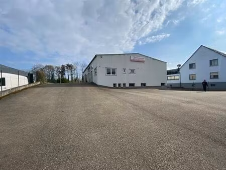 location local d'activités illkirch graffenstaden 600 m²