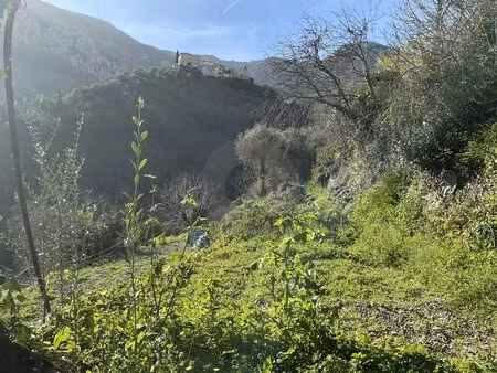 vente terrain constructible à gorbio
