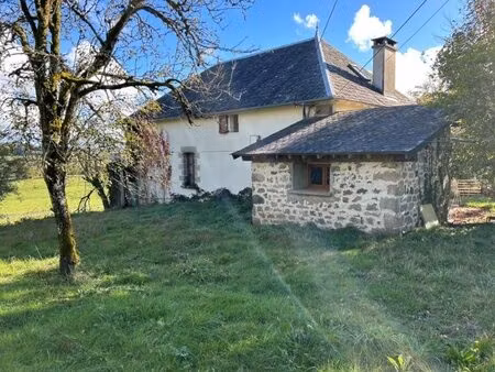 maison à vendre bassignac-le-haut