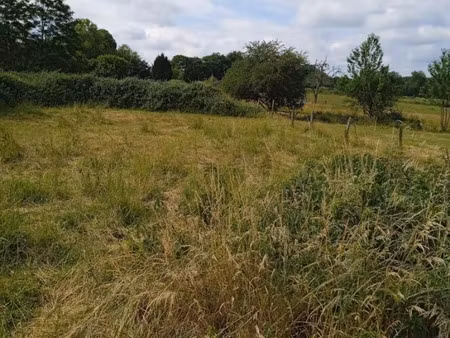 vente terrain 2424 m² bletterans (39140)