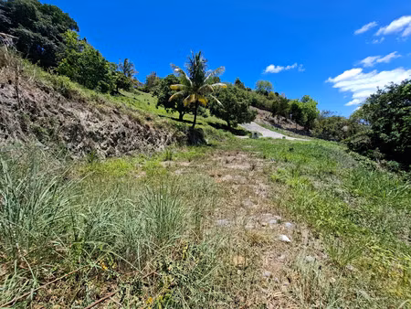 terrain à vendre sainte luce (972)