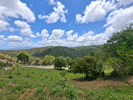terrain à vendre sainte luce (972)