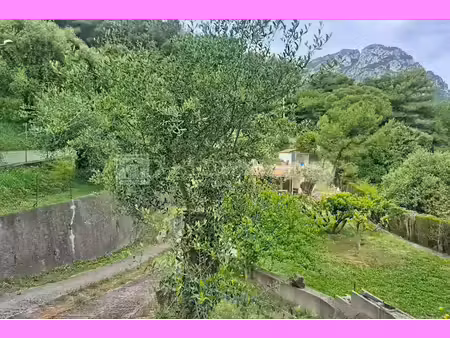 annonce terrain à vendre