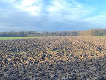 terrain champigny la futelaye