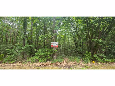 terrain boisé constructible  d'une surface de 2361 m²  cu opérationnel  sur la commune de 