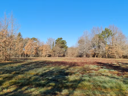 24400 proche mussidan terrain en partie boisé de 11408 m² dont constructible 4000m² 2 lots