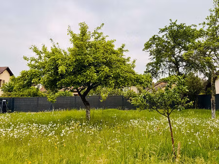achat terrain 408m²