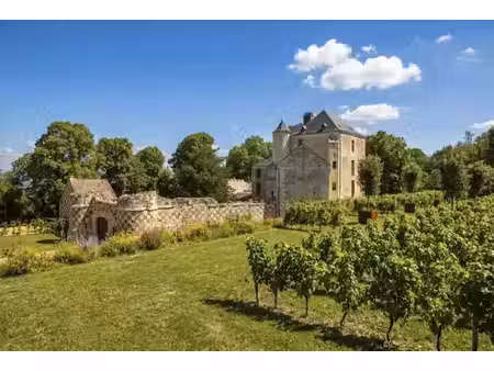prestigieux château de 720 m2 en location - magny-en-vexin  île-de-france