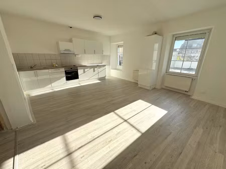 location appartement 3 pièces 62m² village neuf 68128