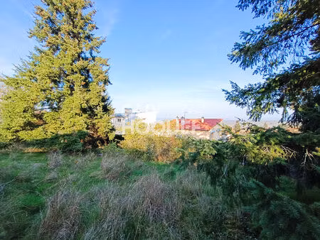 boën-sur-lignon parcelle viabilisée 709 m²