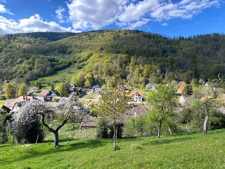 charmante maison + grange à rénover de 7 pièces à vendre à sengern