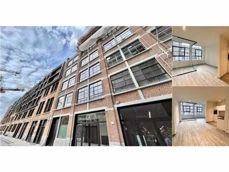 studio à louer à coveliersstraat 8 berchem (rbv85038)