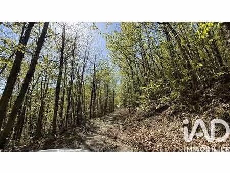 vente terrain à saint-roman-de-codières (30440) : à vendre / 133881m² saint-roman-de-codiè