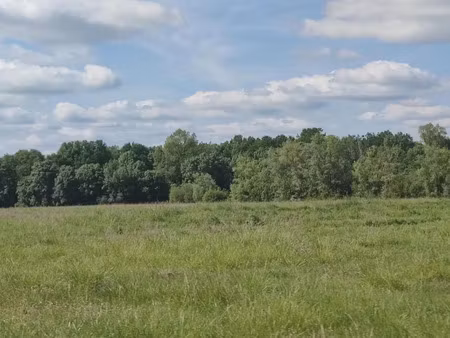 vente terrain à construire 500 m² loupes (33370)