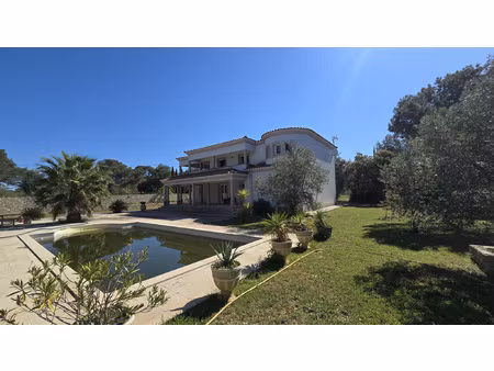 villa + grande dépendance piscine