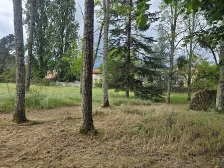 vente terrain à construire 660 m² landiras (33720)