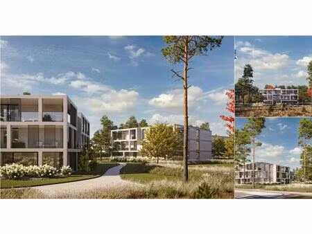 rez-de-chaussée à vendre à dennendreef 24 vosselaar (rbv85180)