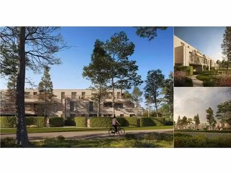 appartement à vendre à puntstraat olen (rbv85519)