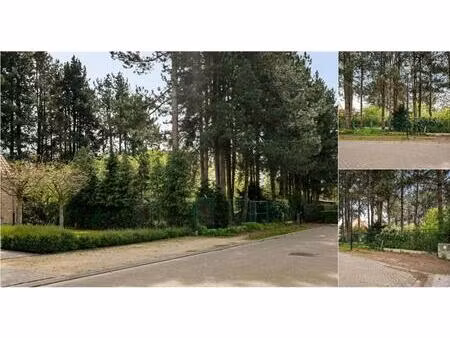 terrain à vendre à oude dreef 7 noorderwijk (rbv84772)