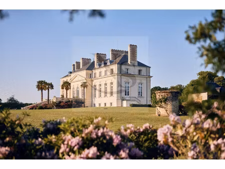 vente château 13 pièces